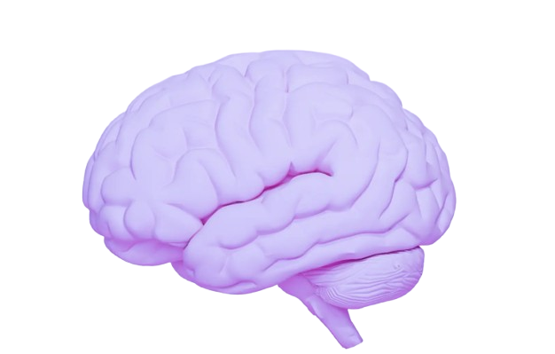 logo icon