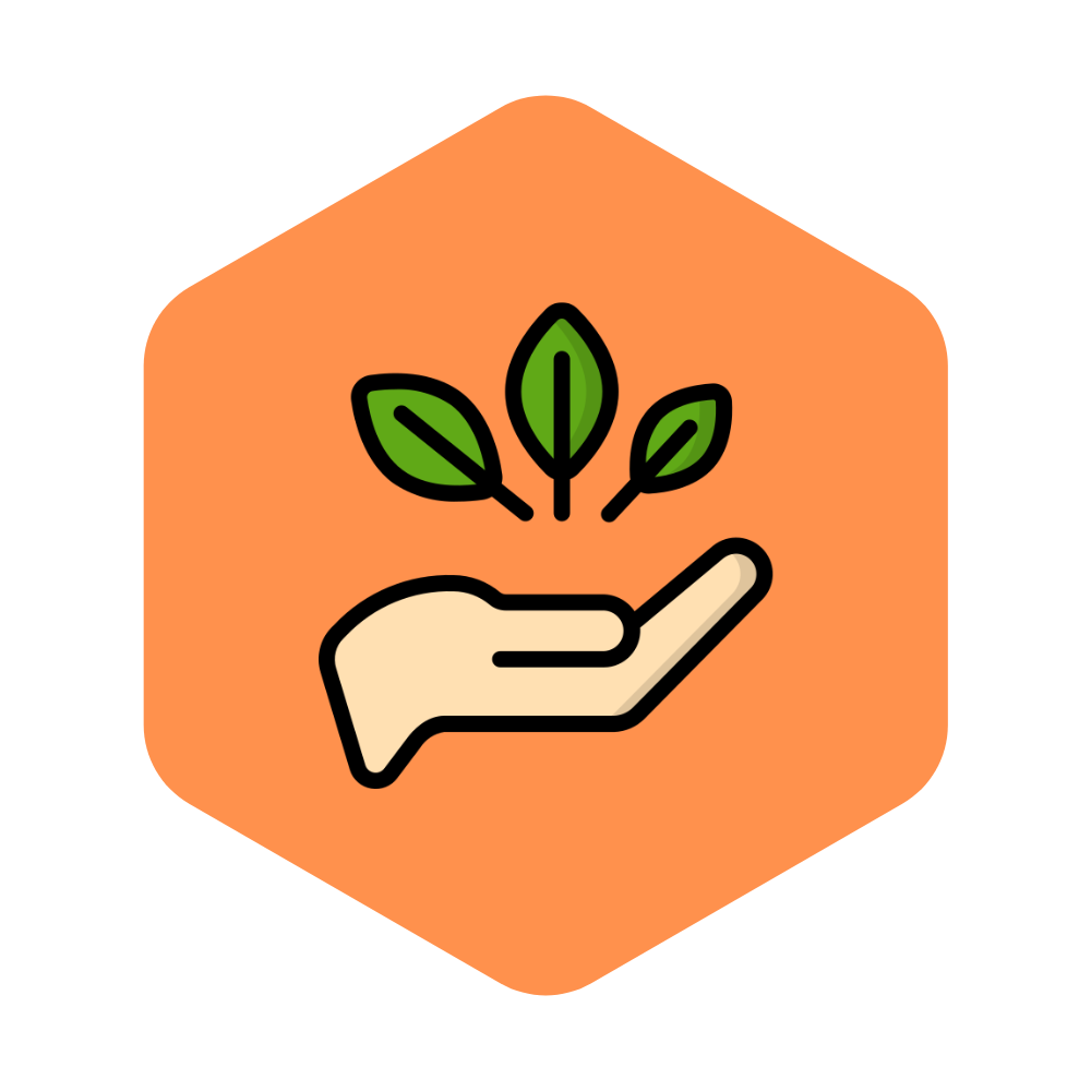 Hand holding leaves symbolizing growth and environmental wellness