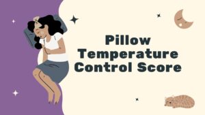 Pillow Temperature Control Score