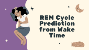REM Cycle Prediction from Wake Time