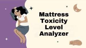 Mattress Toxicity Level Analyzer
