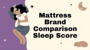 Mattress Brand Comparison Sleep Score