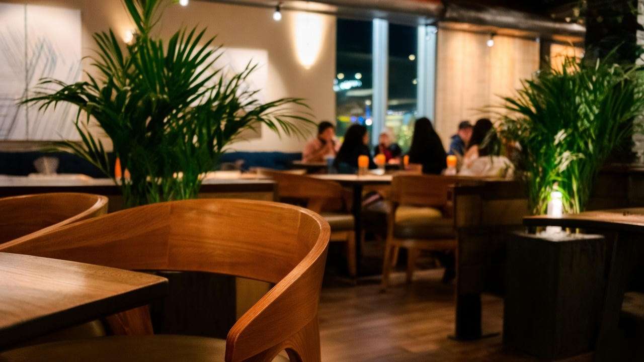 Relaxed ambiance of Yard House happy hour with warm lighting and green plants.
