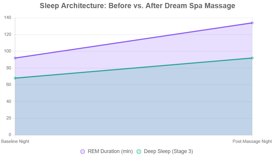 The REM-Rebound Phenomenon