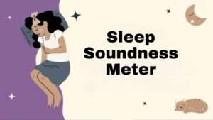 Sleep Soundness Meter