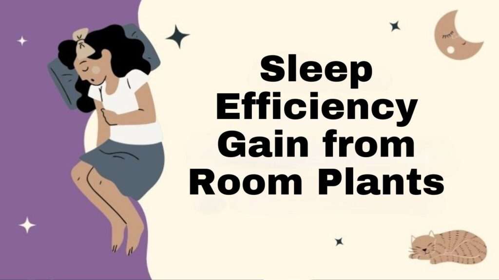 Sleep Efficiency Gain from Room Plants