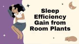Sleep Efficiency Gain from Room Plants